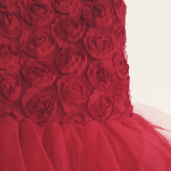 Baby Girl's Red Tutu Dress - Picture 6 of 13
